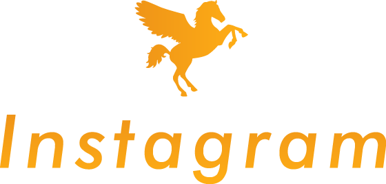 インスタグラム